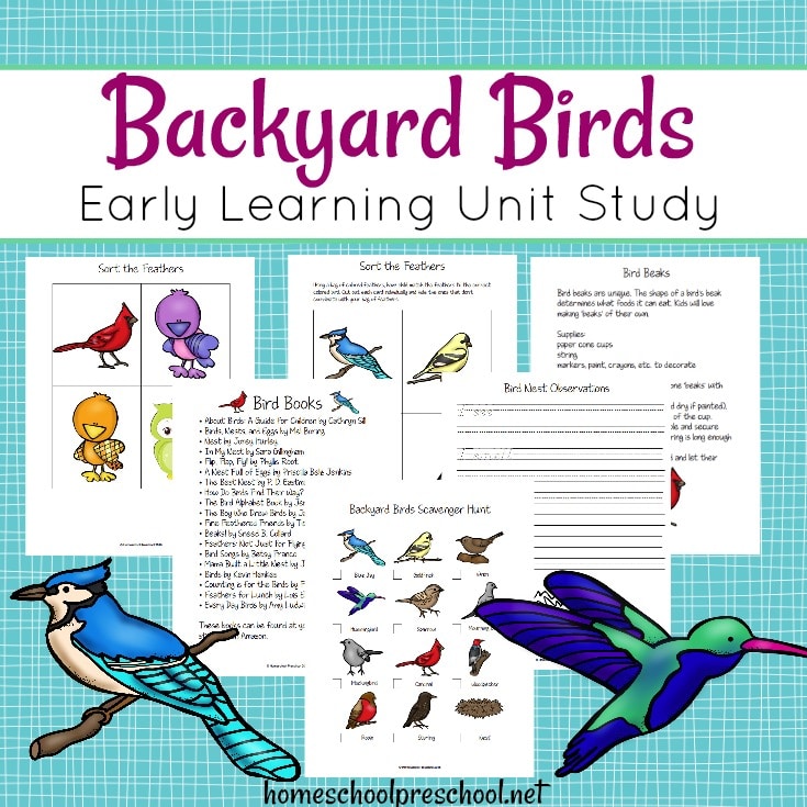 Free Backyard Birds Preschool Unit Study