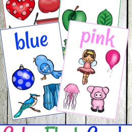 FREE COLOR FLASH CARDS (Instant Download)