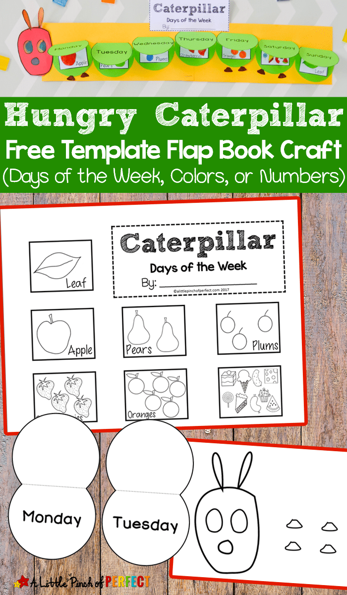 Free Hungry Caterpillar Learning Flap Book