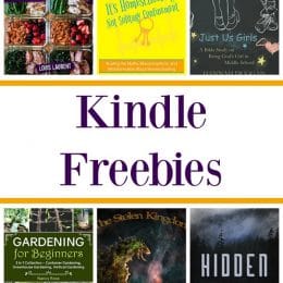 13 Free Kindle Books: The Stolen Kingdom, Capsule Wardrobe, & More!