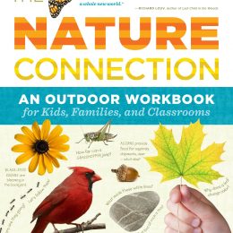 The Nature Connection Workbook Only $8.76! (45% Off!)