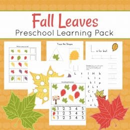 Free Fall Leaves Preschool Learning Pack (27 Pages!)