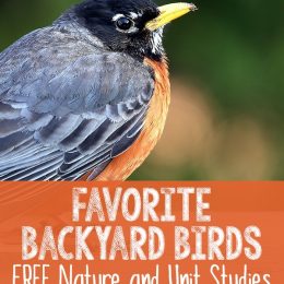 Free Backyard Birds Nature & Unit Study Resources