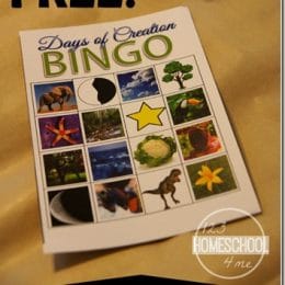 Free Days of Creation BINGO Printables