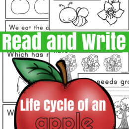 Free Apple Life Cycle Mini-Book