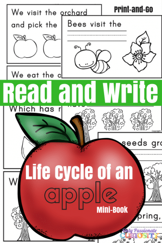 Free Apple Life Cycle Mini-Book