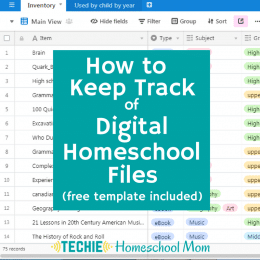 Free Digital Homeschool Inventory List Template