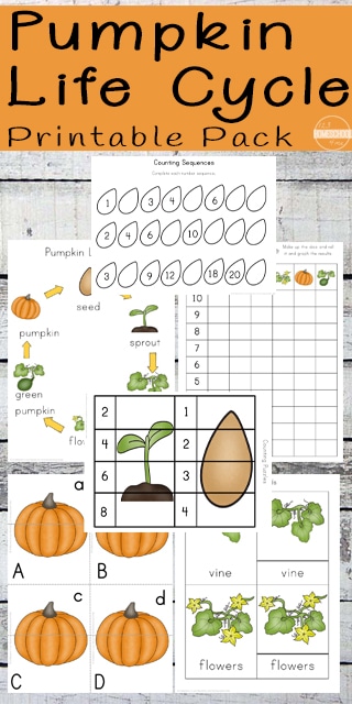 Free Pumpkin Life Cycle Printables