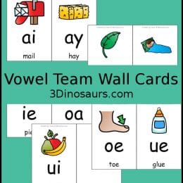 Free Vowel Team Wall Cards