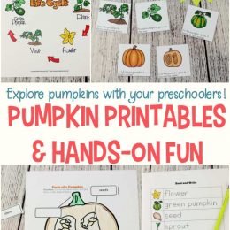 Free Preschool Pumpkin Life Cycle Pack