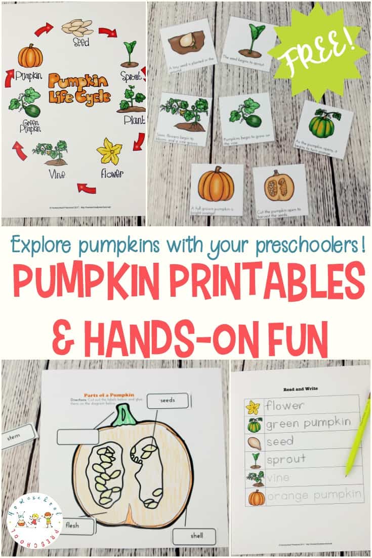 Free Preschool Pumpkin Life Cycle Pack