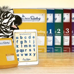 All About Reading Giveaway - Level of Your Choice!
