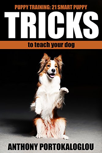 Puppy Training Tricks