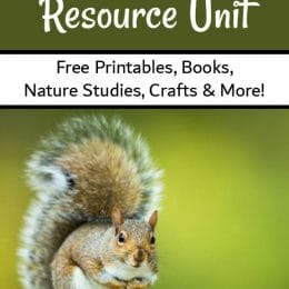 FREE Squirrel Unit Study Resources