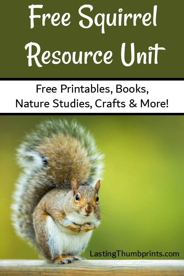 Free Squirrel Unit Study Resources