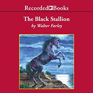 The Black Stallion