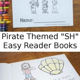 Free What Can A Pirate Sail? Easy Reader