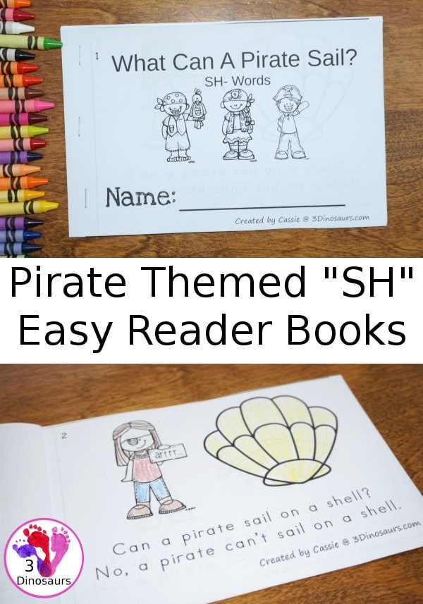 Free What Can A Pirate Sail? Easy Reader