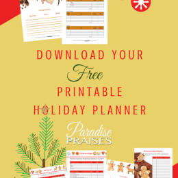 Free 2017 Printable Holiday Planner