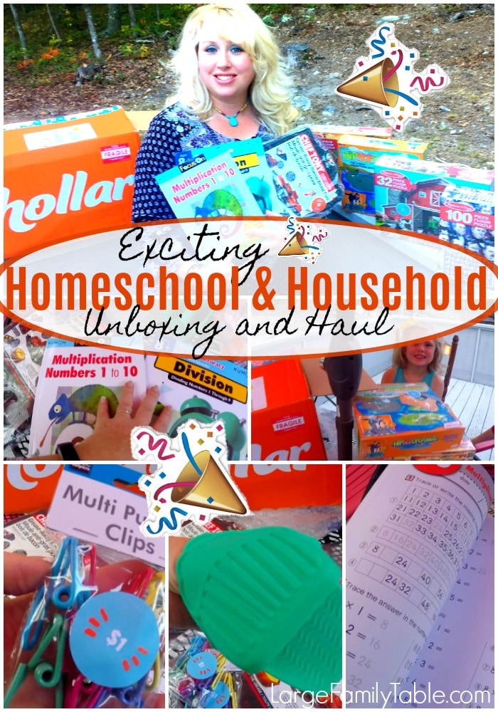 Exciting Homeschool & Household Unboxing and Haul