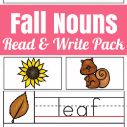 Free Fall Nouns Read & Write Pack