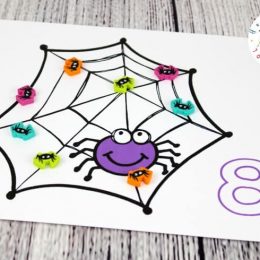 Free Spider Counting Mats