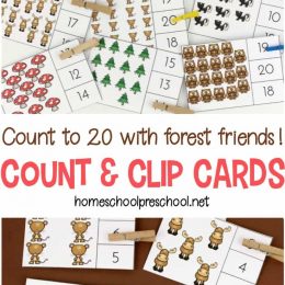 Free Forest Themed Count & Clip Cards