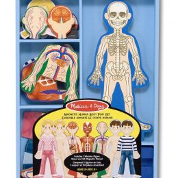 Magnetic Human Body Anatomy Play Set Only $10.39! (20% Off!)