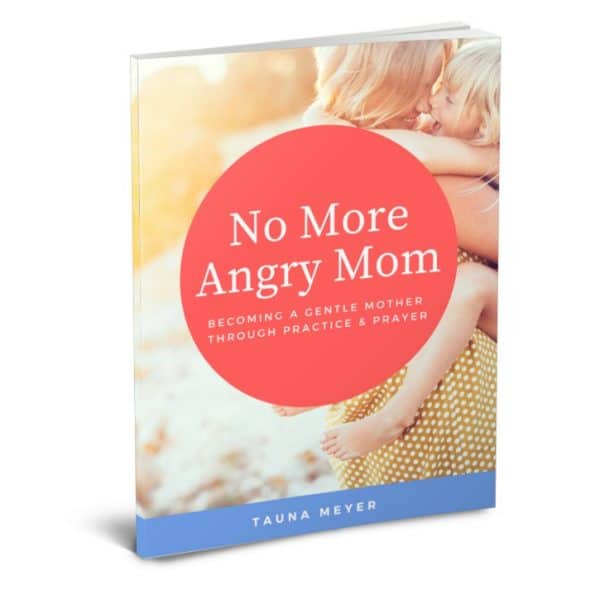 Free No More Angry Mom eBook - Limited Time! (Reg. $7.99)