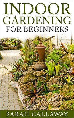 Indoor Gardening for Beginners