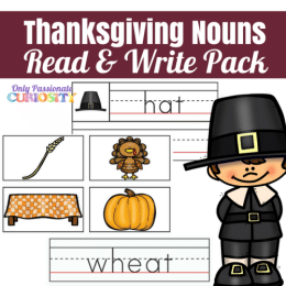 Free Thanksgiving Nouns Read & Write Pack