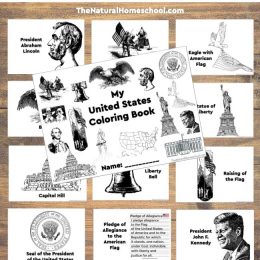 Free United States Coloring Book