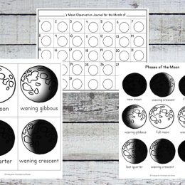 Free Moon Phases Activity Pack