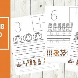 Free Thanksgiving Preschool Number Printables