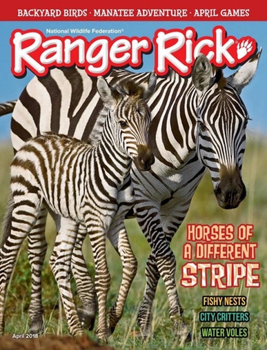 Ranger Rick Magazine Only $11.99! (55% Off!)