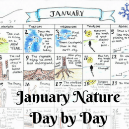 Free January Nature Calendar