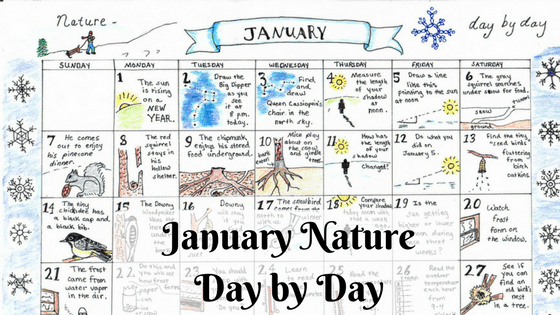 Free January Nature Calendar