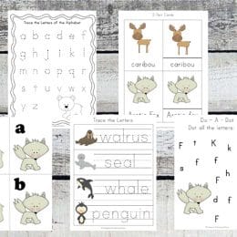 Free Arctic Animal Printable Pack (60 Pages!)