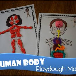 Free Human Body Playdough Mats