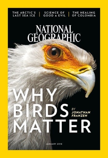 National Geographic Magazine Only $19/Year! (73% Off!)