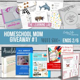 Homeschool Giveaway: Homeschool Mom Planning Bundle
