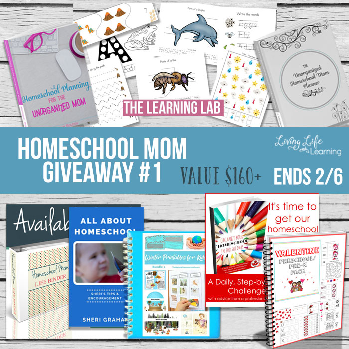 Homeschool Giveaway: Homeschool Mom Planning Bundle