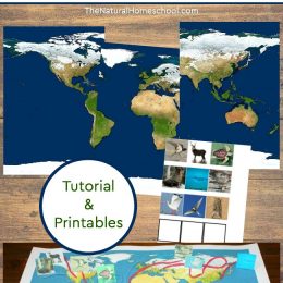 Free Animal Migration Diorama Printables