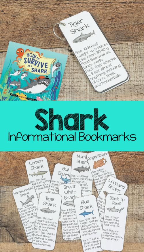 Free Shark Facts Bookmarks