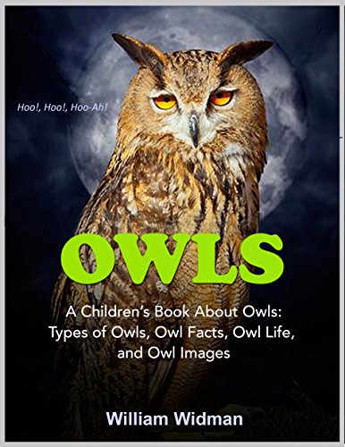 Owls