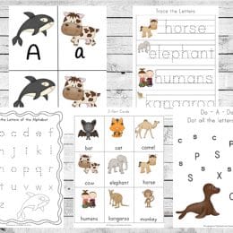 Free Mammal Printable Pack