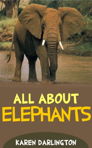 All About Elephants