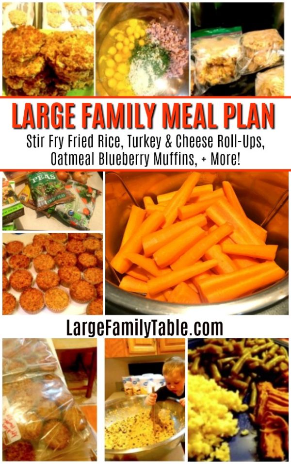 WEEKLY LARGE FAMILY MEAL PLAN: Stir Fry Fried Rice, Turkey & Cheese Roll-Ups, Oatmeal Blueberry Muffins, + More!