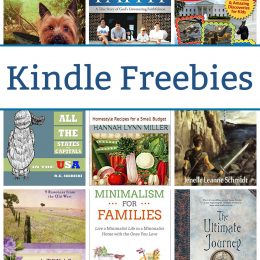 18 Kindle Freebies: King's Warrior, Minimalism for Families, & More!