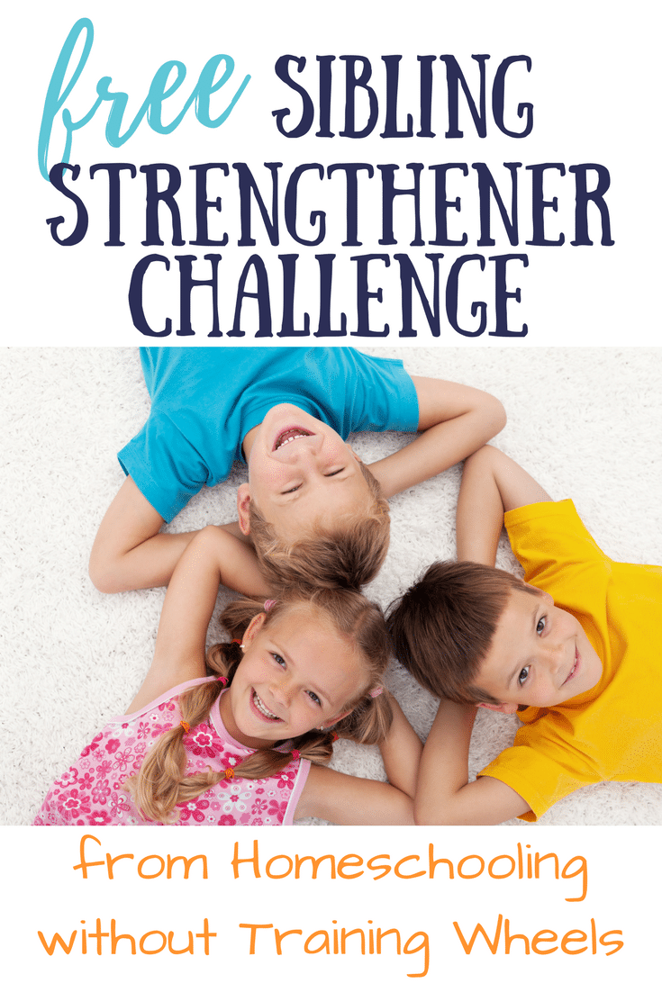 Free Sibling Bonding Challenge